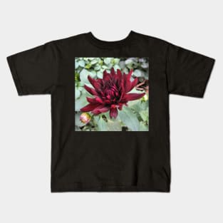 Chat Noir Dahlia Kids T-Shirt